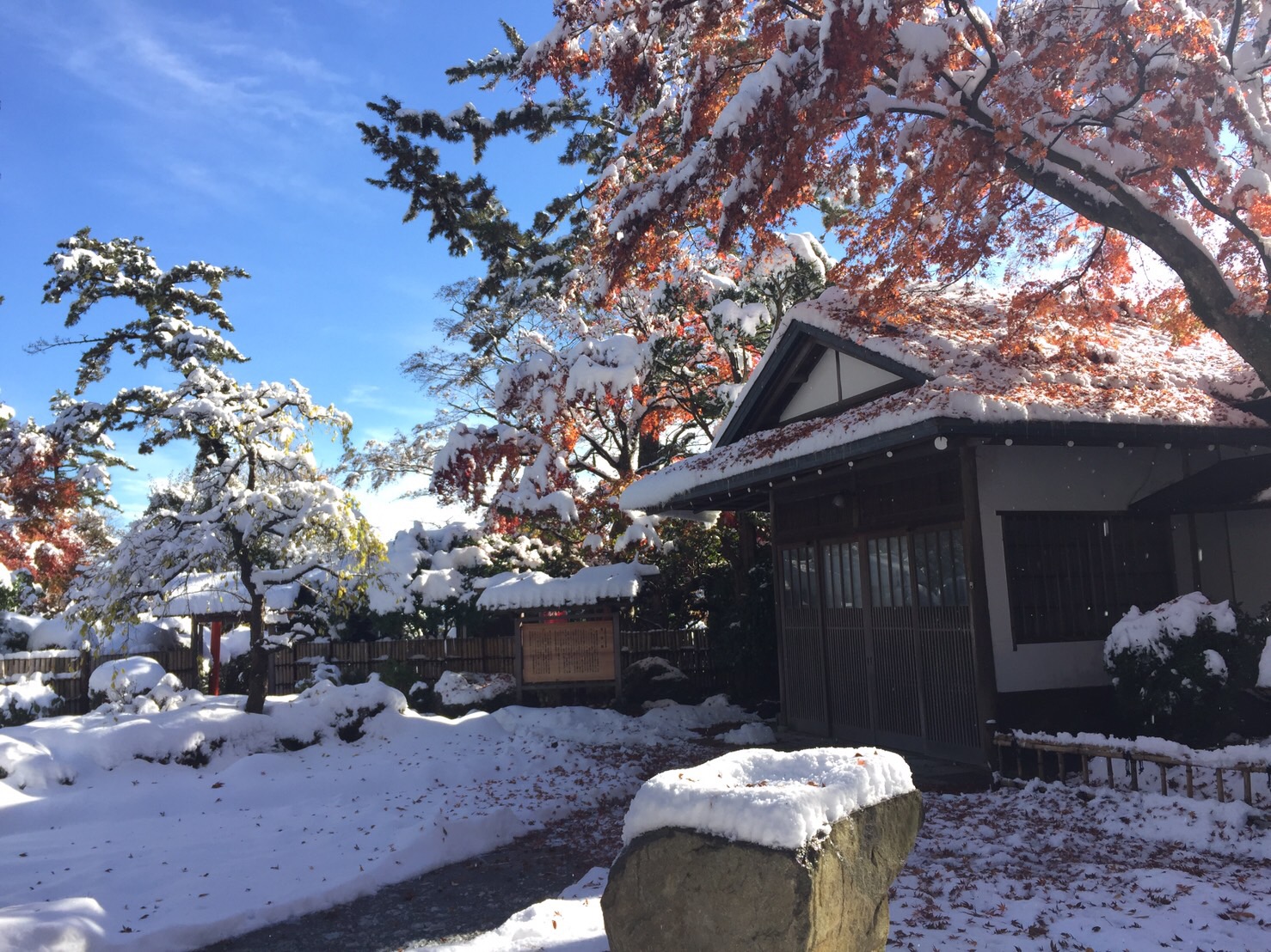 今シーズン初めての雪です！