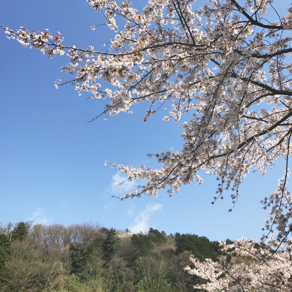 箱根小涌園 天悠、本日開業です。