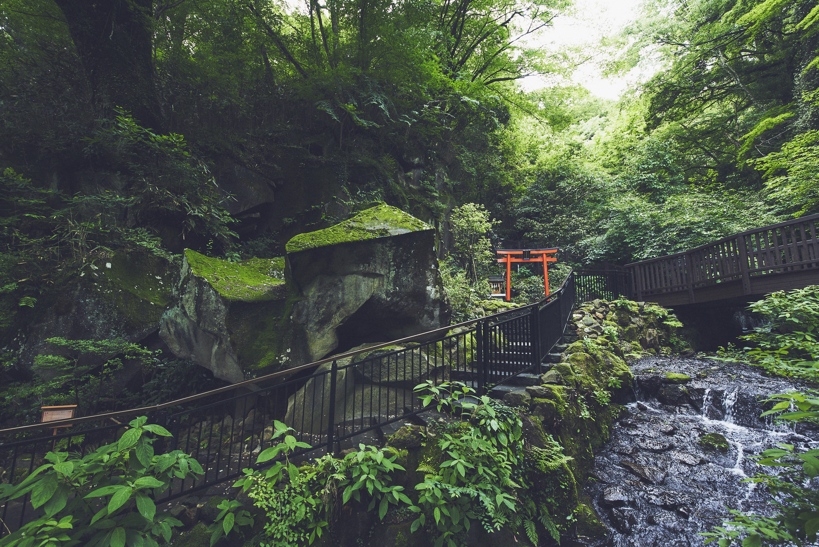 関東屈指のパワースポット 箱根の神社巡りでご利益アップ 公式 箱根小涌園 天悠