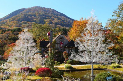 箱根ガラスの森美術館庭園（11月頃）イメージ）