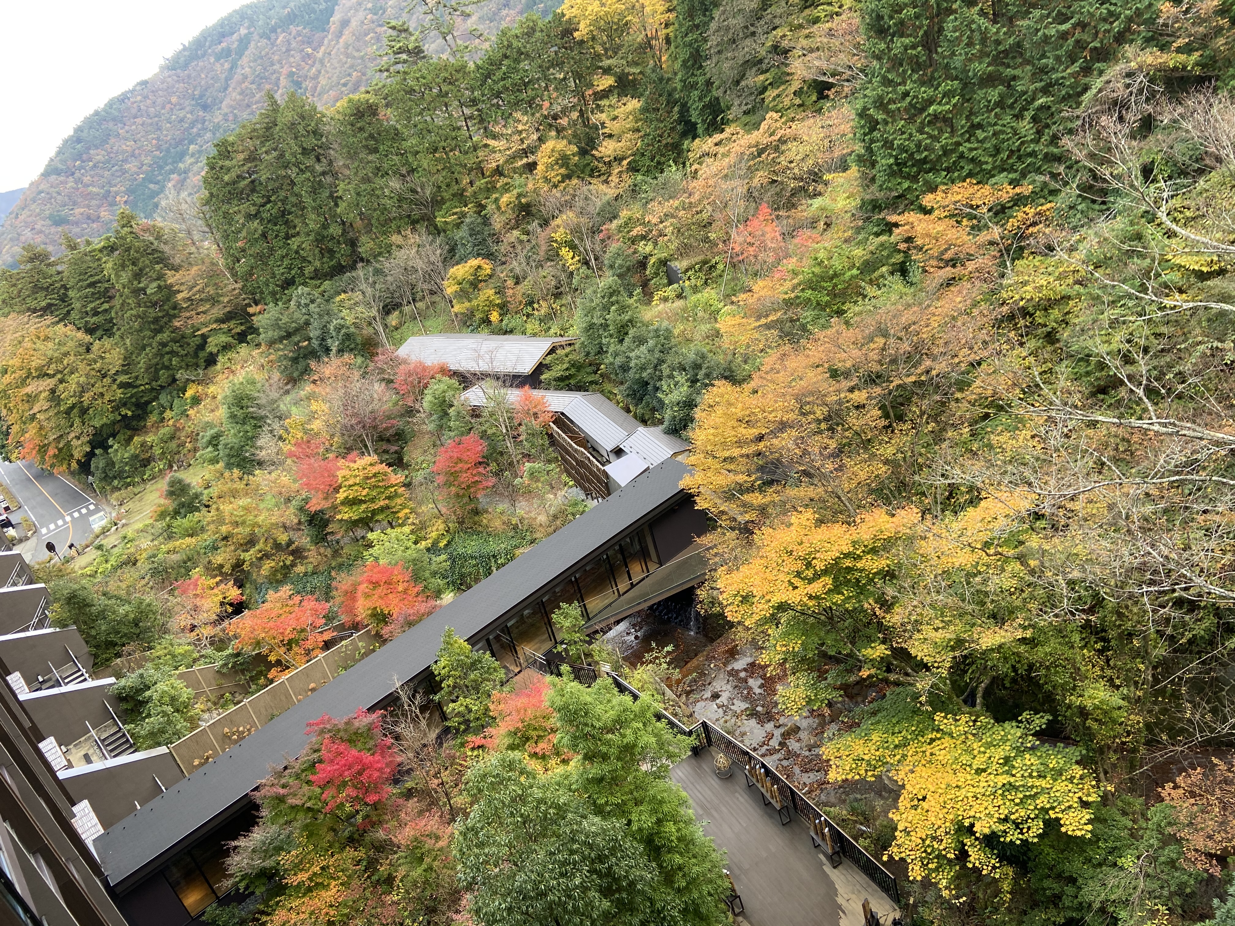 渓谷庭園　通行再開のご案内