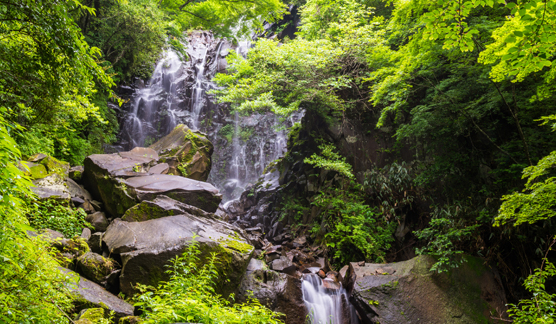 新緑×滝でたっぷりのマイナスイオンを！「飛龍の滝」や「千条の滝」などおすすめの滝をご紹介
