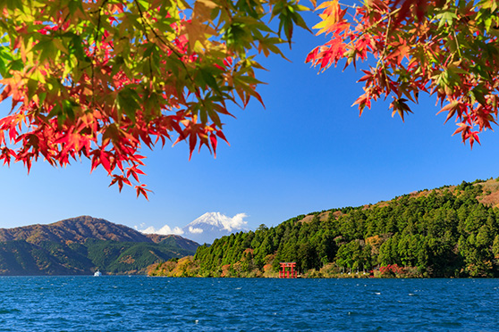 魅惑の紅葉と壮大な富士山の景色 – 箱根の芦ノ湖