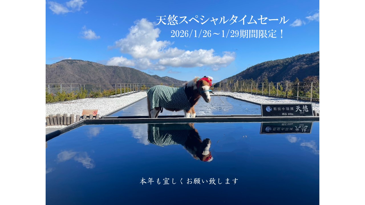 ＼ 2026年スペシャルタイムセール 1月26日(月)〜29日(木)｜４日間限定／