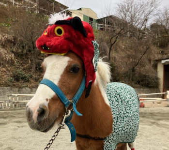 ポニー正月バージョン画像 - コピー