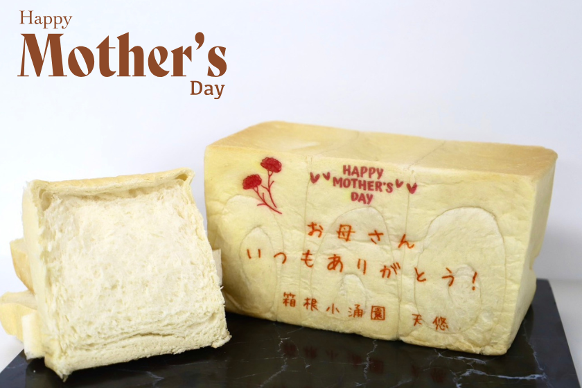 【5/10(日)限定】母の日プラン～９大特典付～