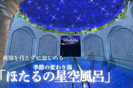 ほたる祭り