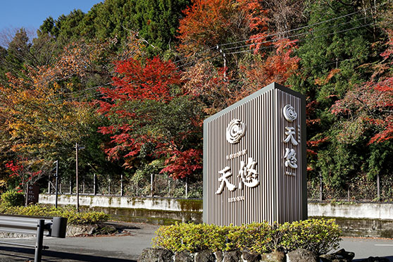 秋の箱根