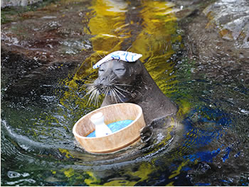 箱根园水族馆