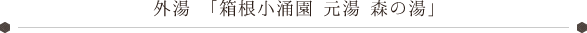 外湯「箱根小涌園 元湯 森の湯」