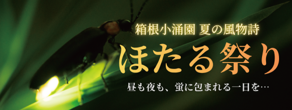 ほたる祭り2026