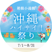 ハイサイ祭り