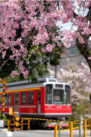 箱根登山鉄道