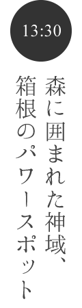 森に囲まれた神域、箱根のパワースポット