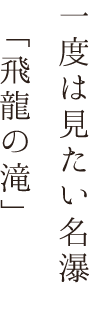 一度は見たい名瀑「飛龍の滝」