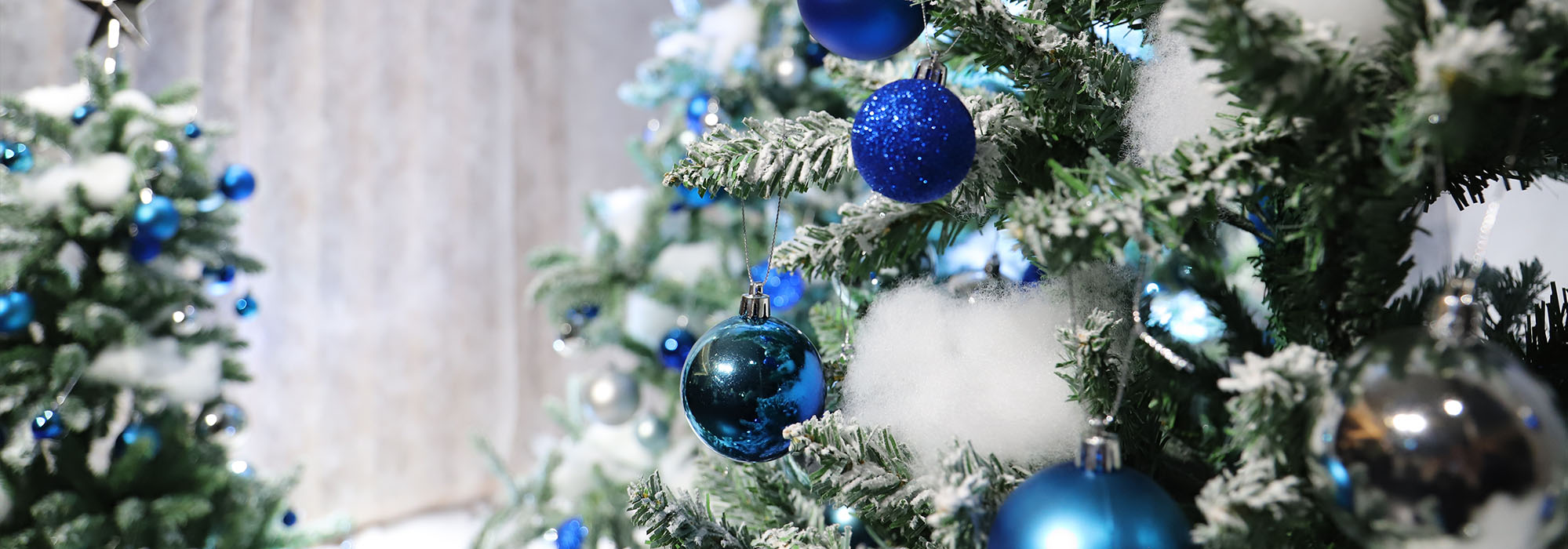 TENYU -Holiday Season- 2025.11.25～12.25