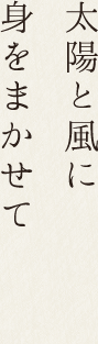 太陽と風に身をまかせて