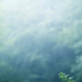 #No.10 #朝露と蜘蛛の巣