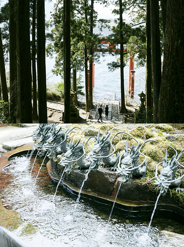 荘厳な杉並木に囲まれ、緑豊かな「箱根神社」にまずはお参りを。