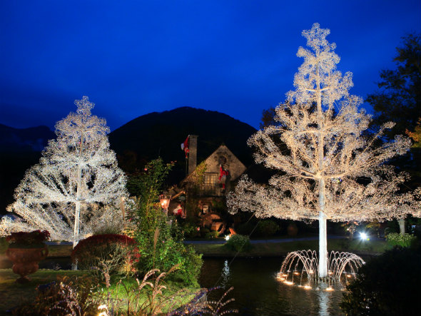 宿近くのイルミネーションでクリスマス気分を満喫