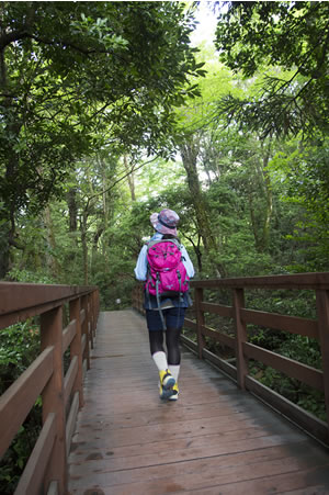 箱根の山を歩く
