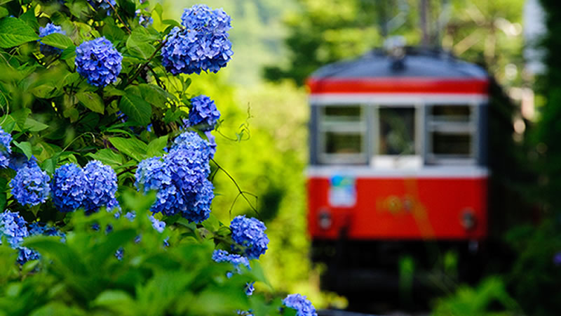 箱根登山鉄道