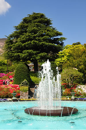 箱根強羅公園の噴水