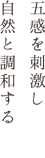 自然と調和し心をほぐす館内