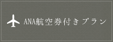 ANA航空券付きプラン